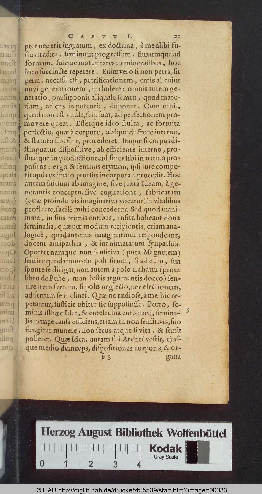 http://diglib.hab.de/drucke/xb-5509/00033.jpg