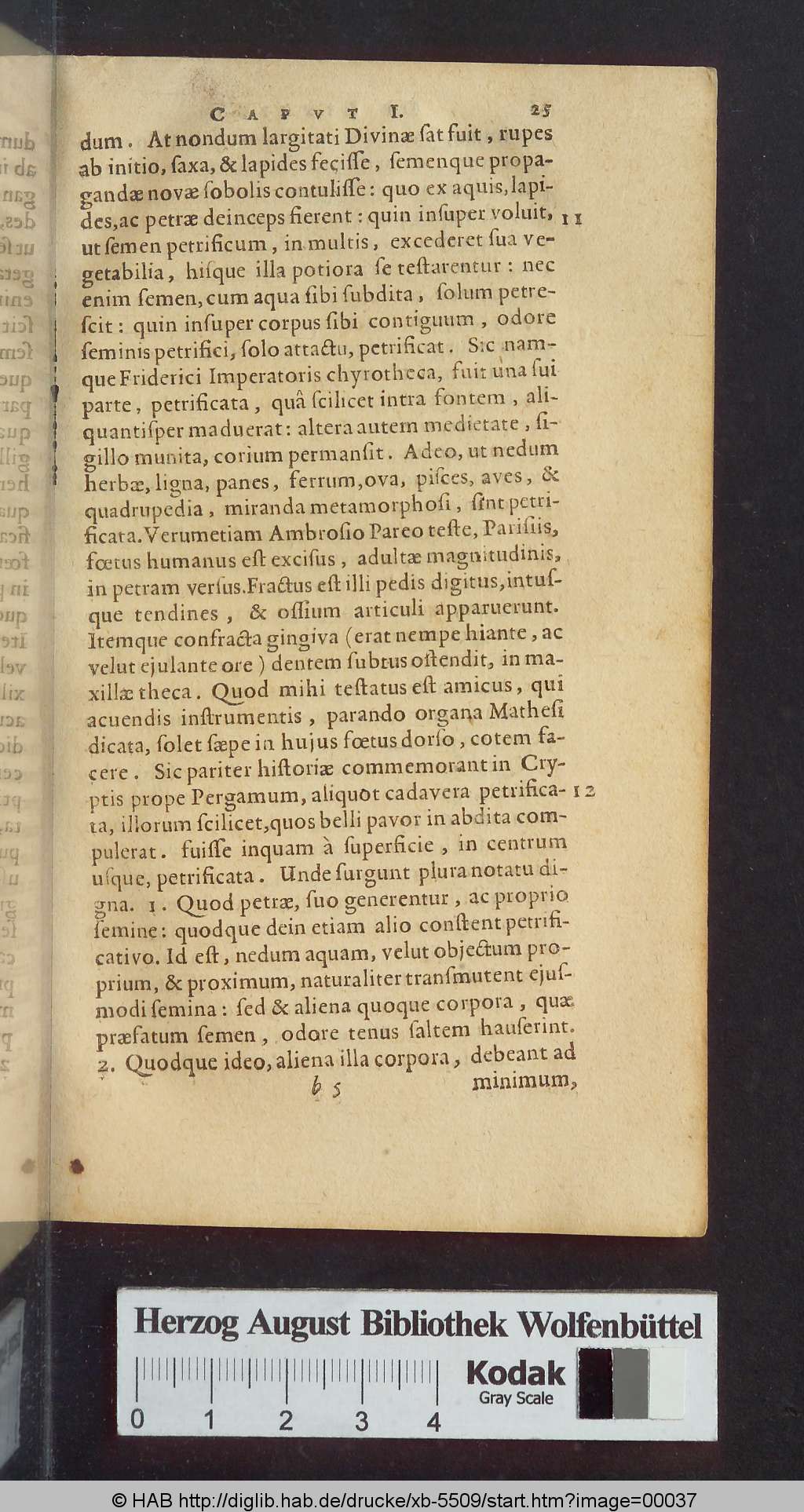 http://diglib.hab.de/drucke/xb-5509/00037.jpg