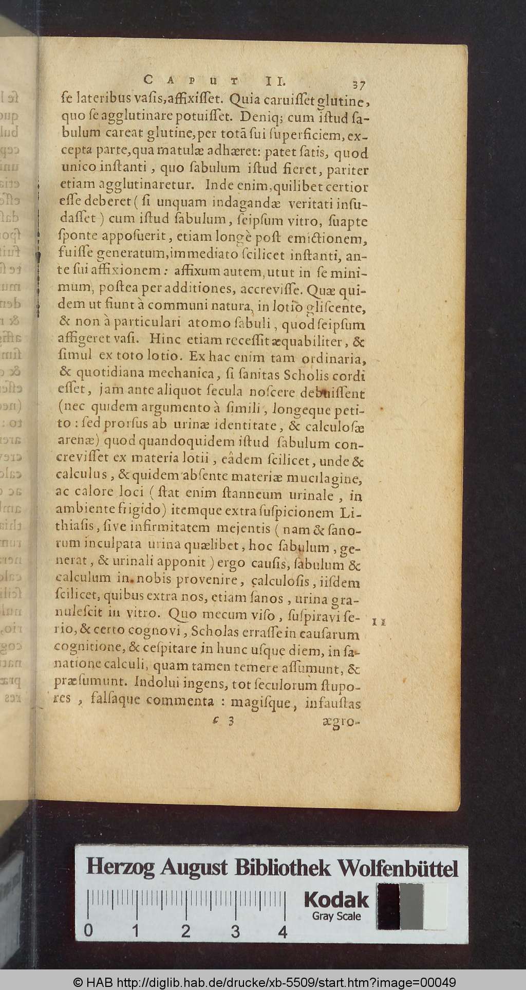 http://diglib.hab.de/drucke/xb-5509/00049.jpg