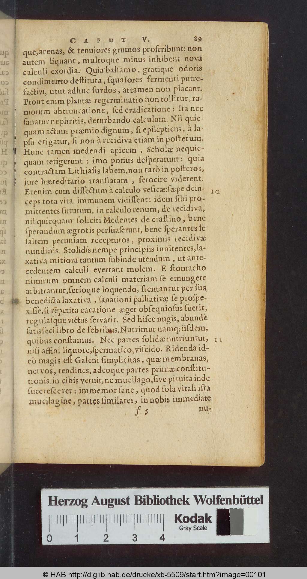 http://diglib.hab.de/drucke/xb-5509/00101.jpg