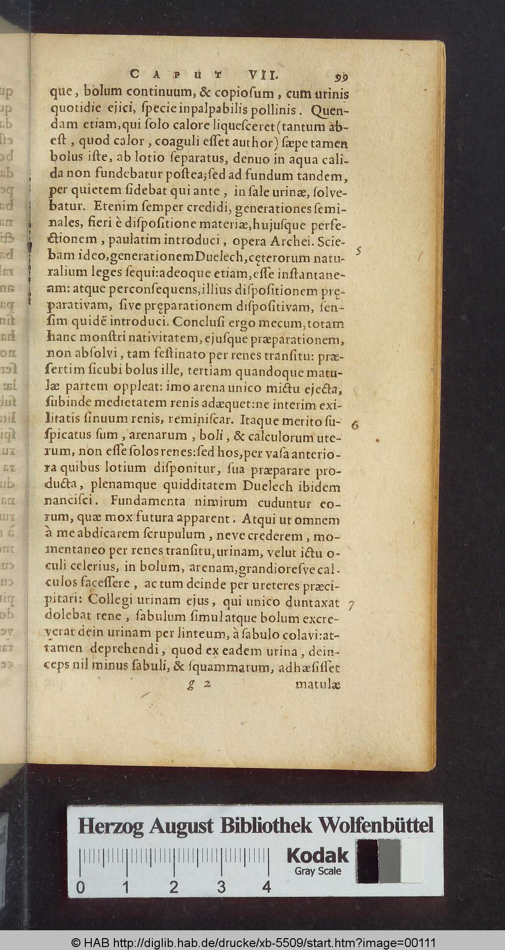http://diglib.hab.de/drucke/xb-5509/00111.jpg