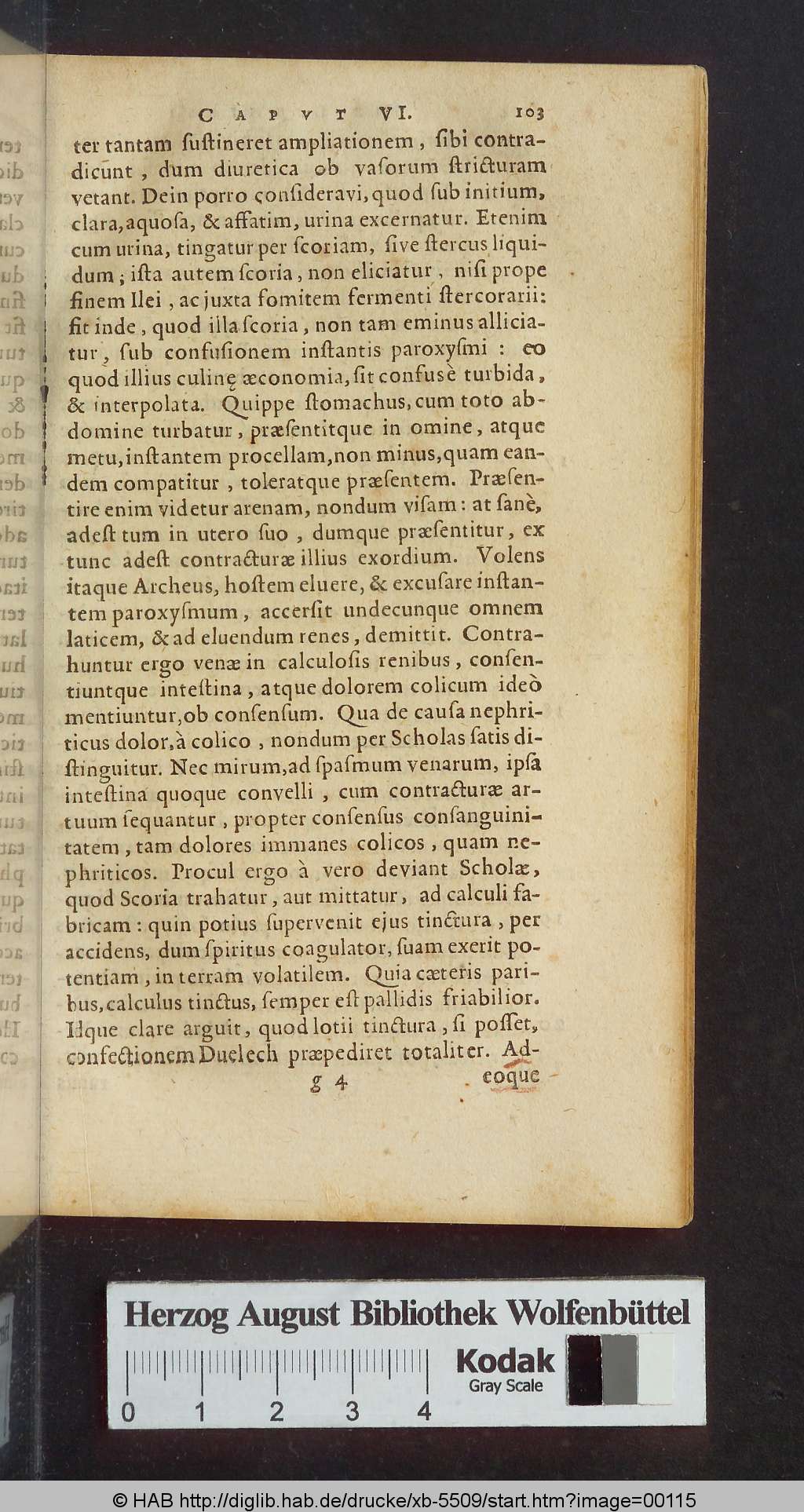 http://diglib.hab.de/drucke/xb-5509/00115.jpg