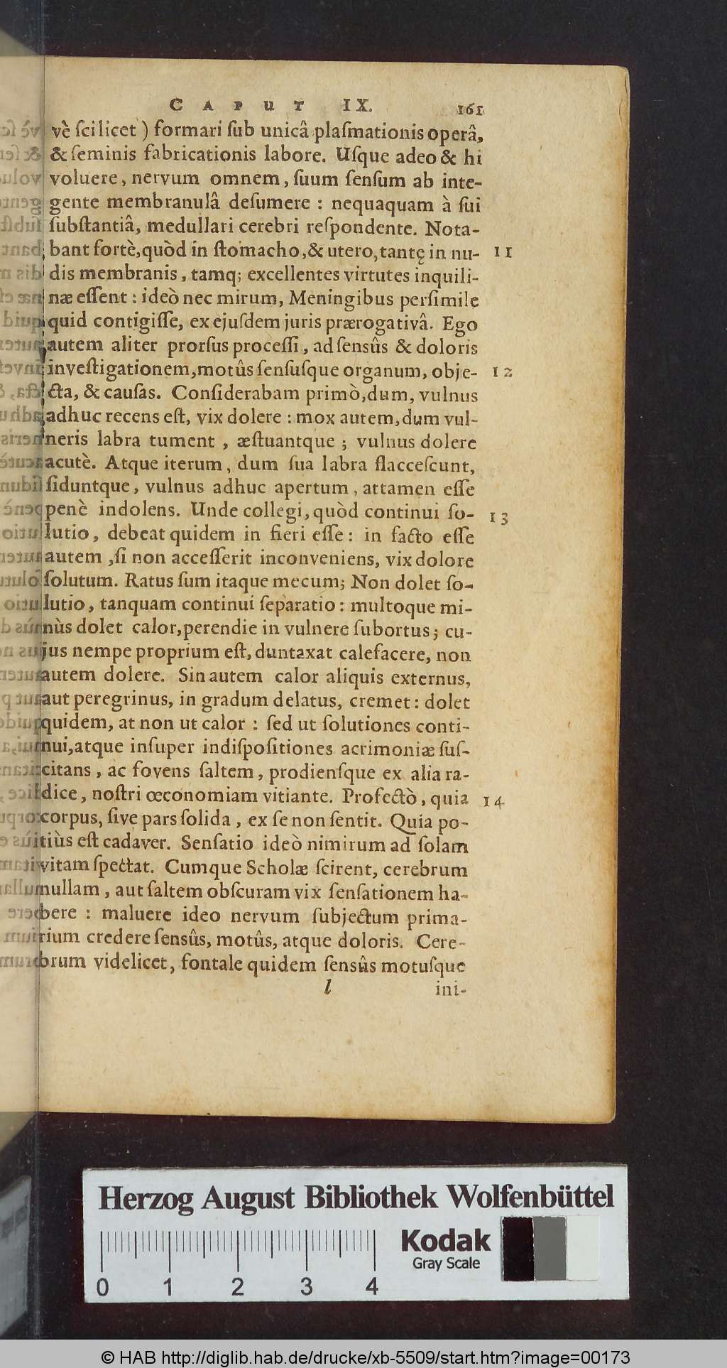 http://diglib.hab.de/drucke/xb-5509/00173.jpg