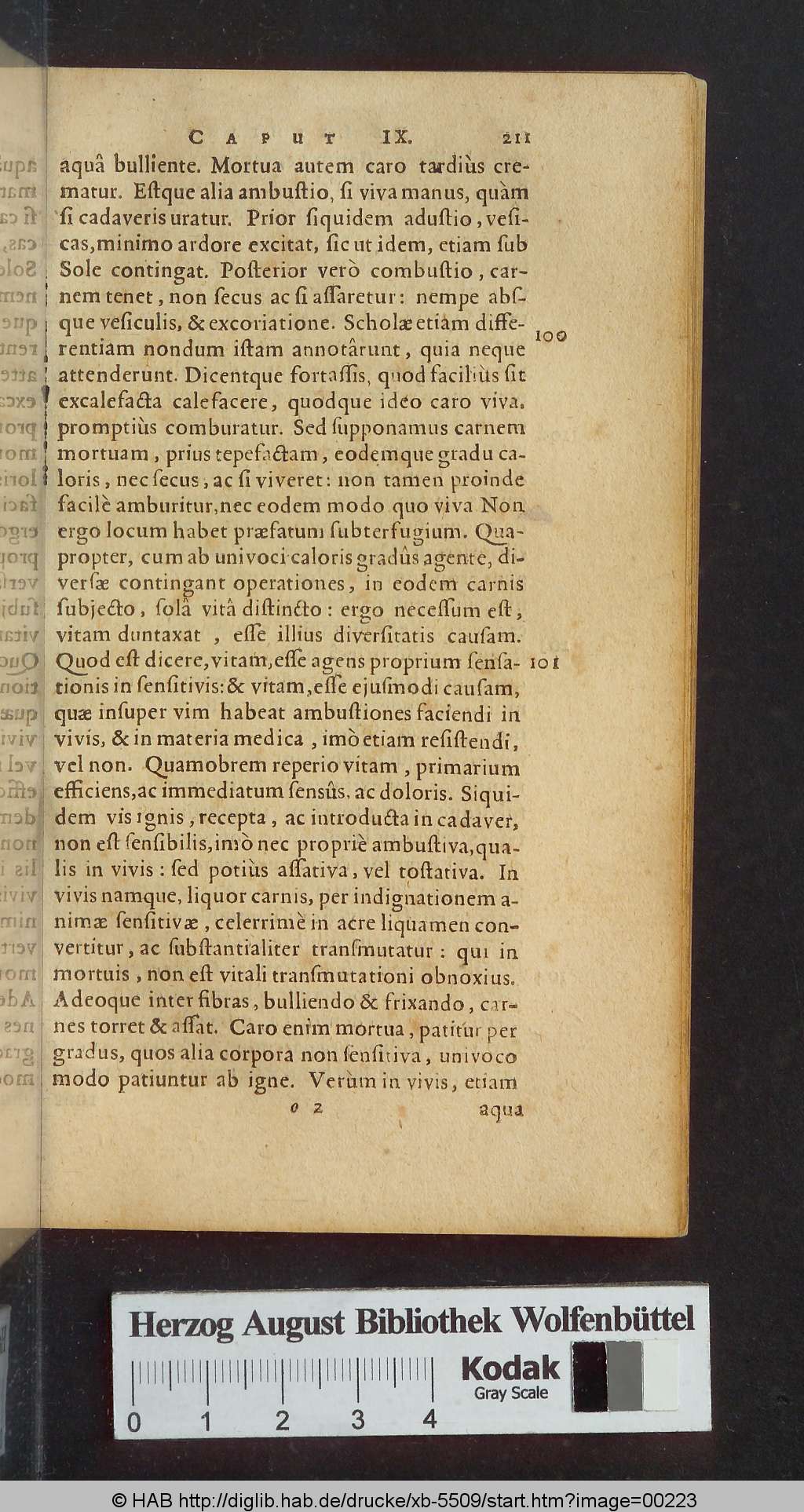 http://diglib.hab.de/drucke/xb-5509/00223.jpg