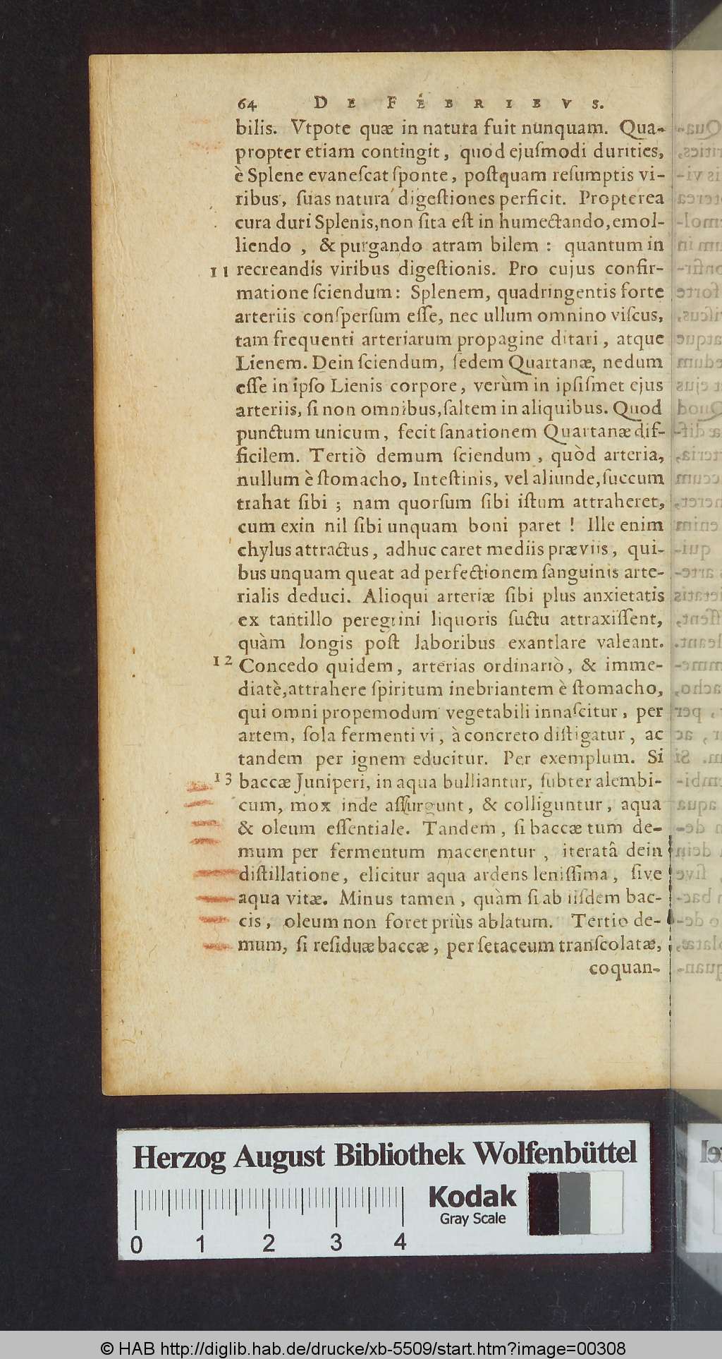 http://diglib.hab.de/drucke/xb-5509/00308.jpg