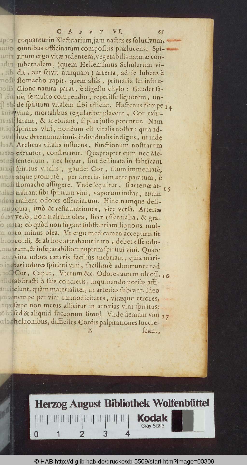 http://diglib.hab.de/drucke/xb-5509/00309.jpg