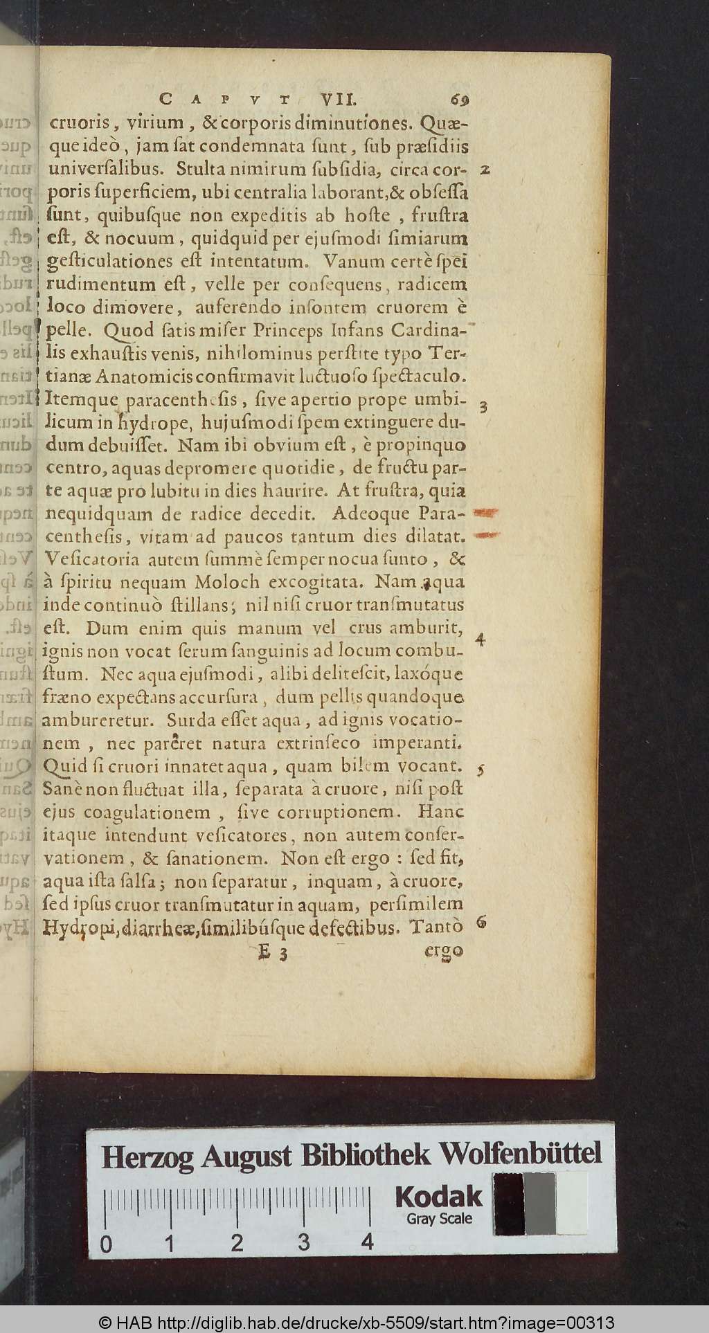 http://diglib.hab.de/drucke/xb-5509/00313.jpg