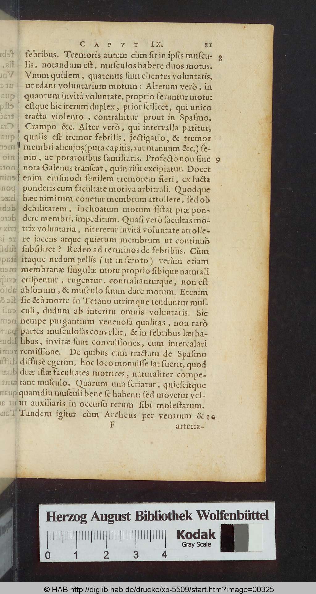 http://diglib.hab.de/drucke/xb-5509/00325.jpg