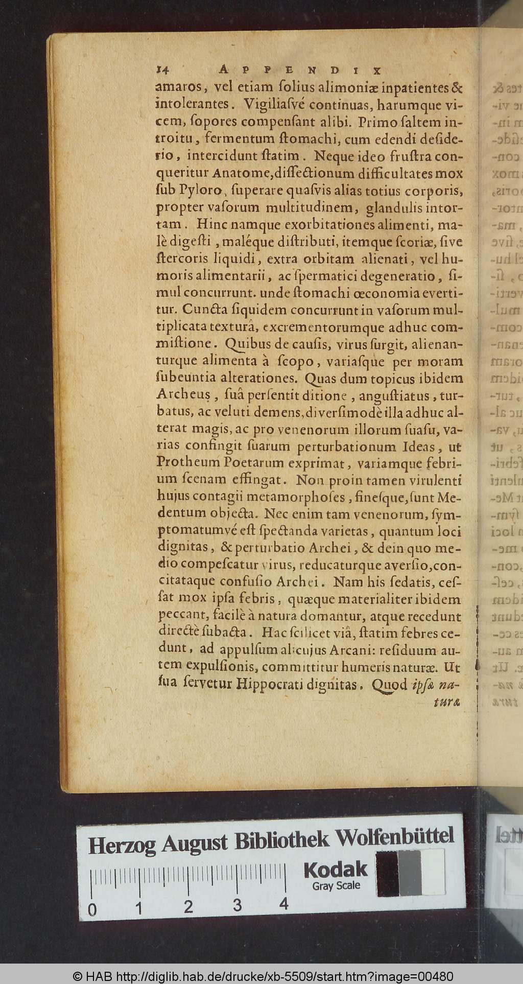 http://diglib.hab.de/drucke/xb-5509/00480.jpg