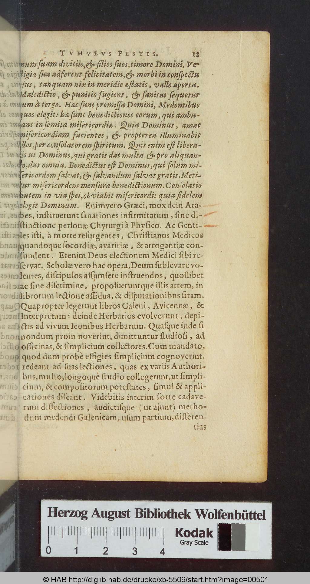 http://diglib.hab.de/drucke/xb-5509/00501.jpg