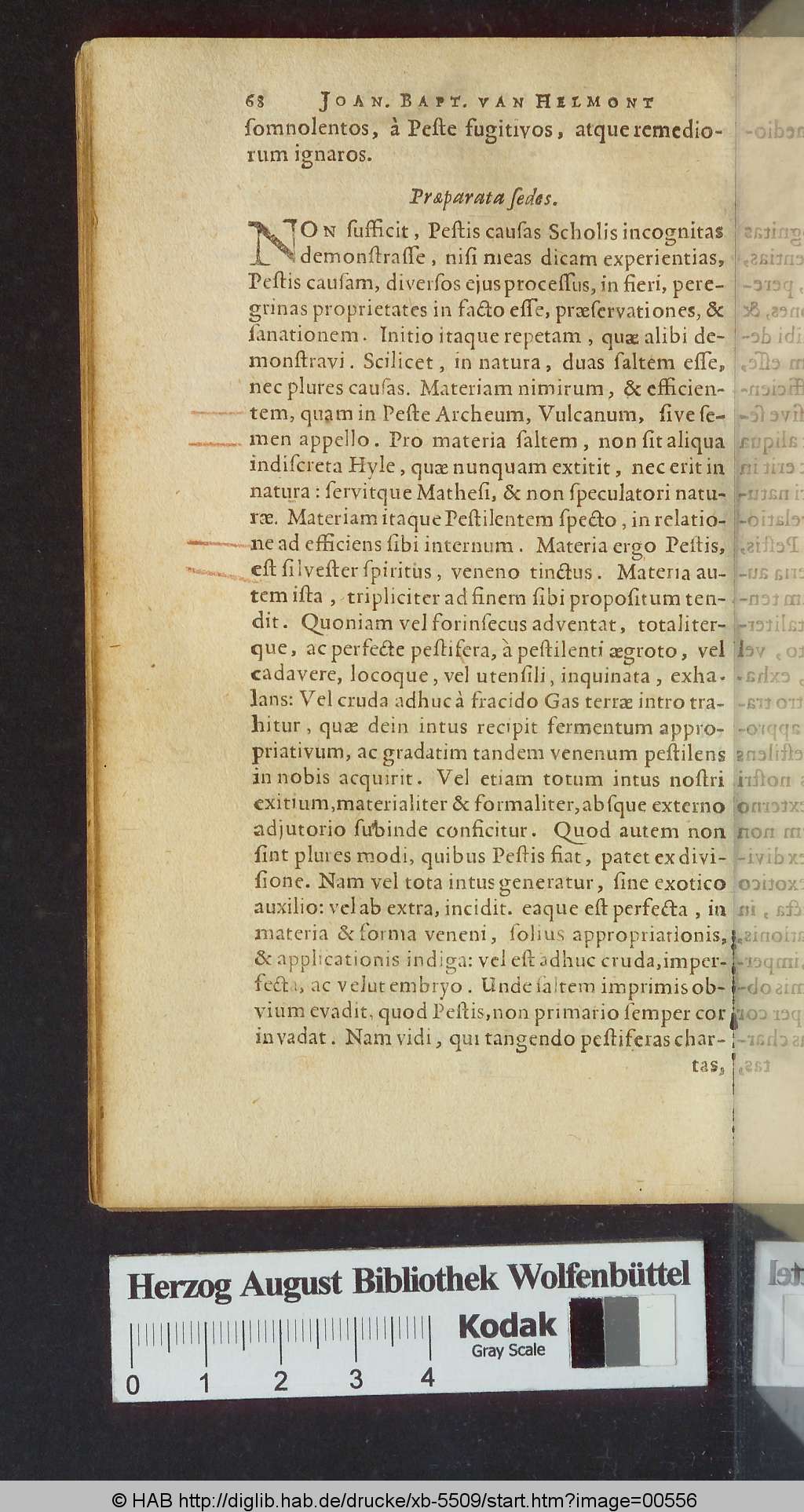 http://diglib.hab.de/drucke/xb-5509/00556.jpg