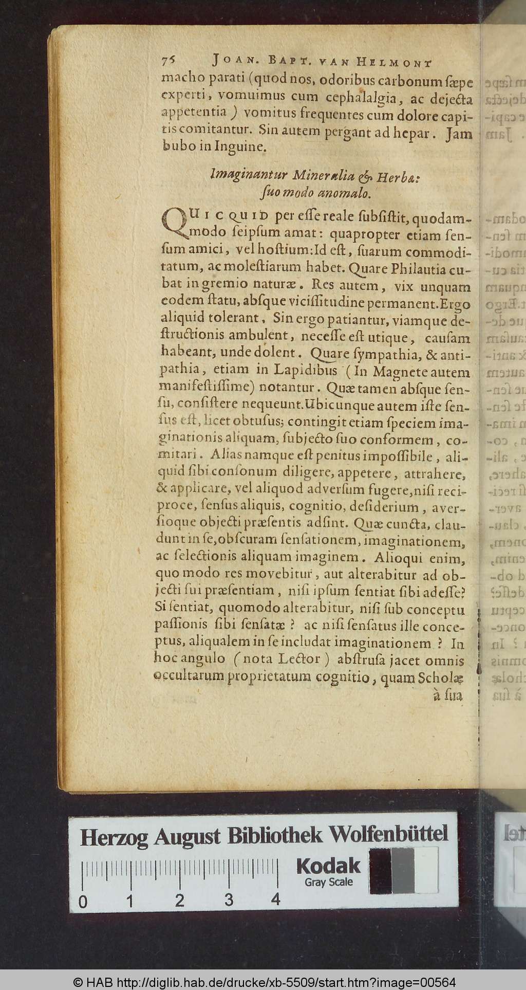 http://diglib.hab.de/drucke/xb-5509/00564.jpg