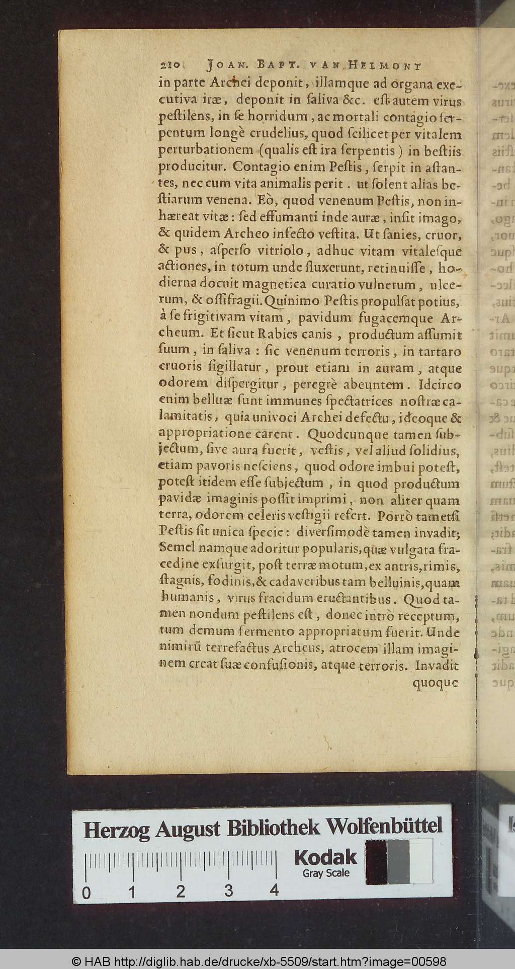 http://diglib.hab.de/drucke/xb-5509/00598.jpg