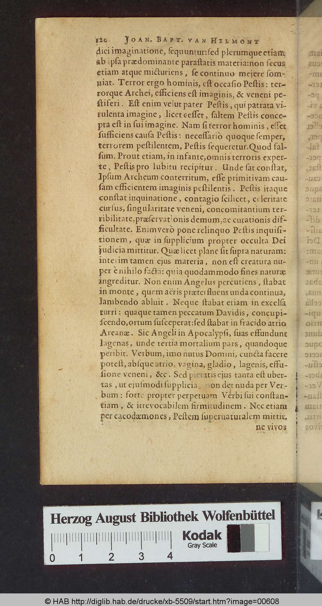 http://diglib.hab.de/drucke/xb-5509/00608.jpg