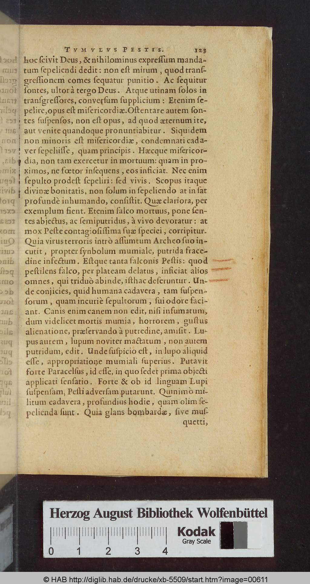 http://diglib.hab.de/drucke/xb-5509/00611.jpg