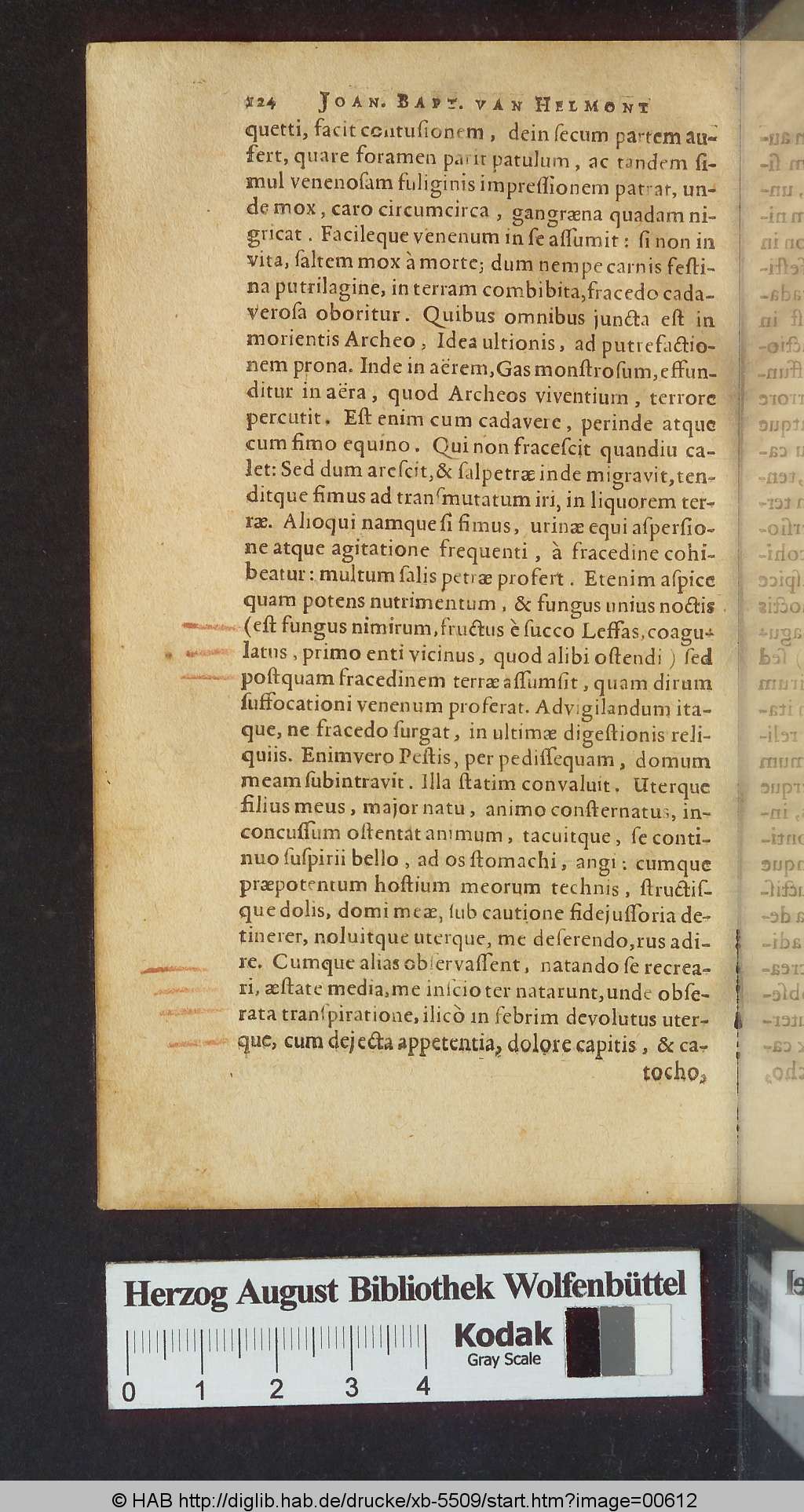 http://diglib.hab.de/drucke/xb-5509/00612.jpg