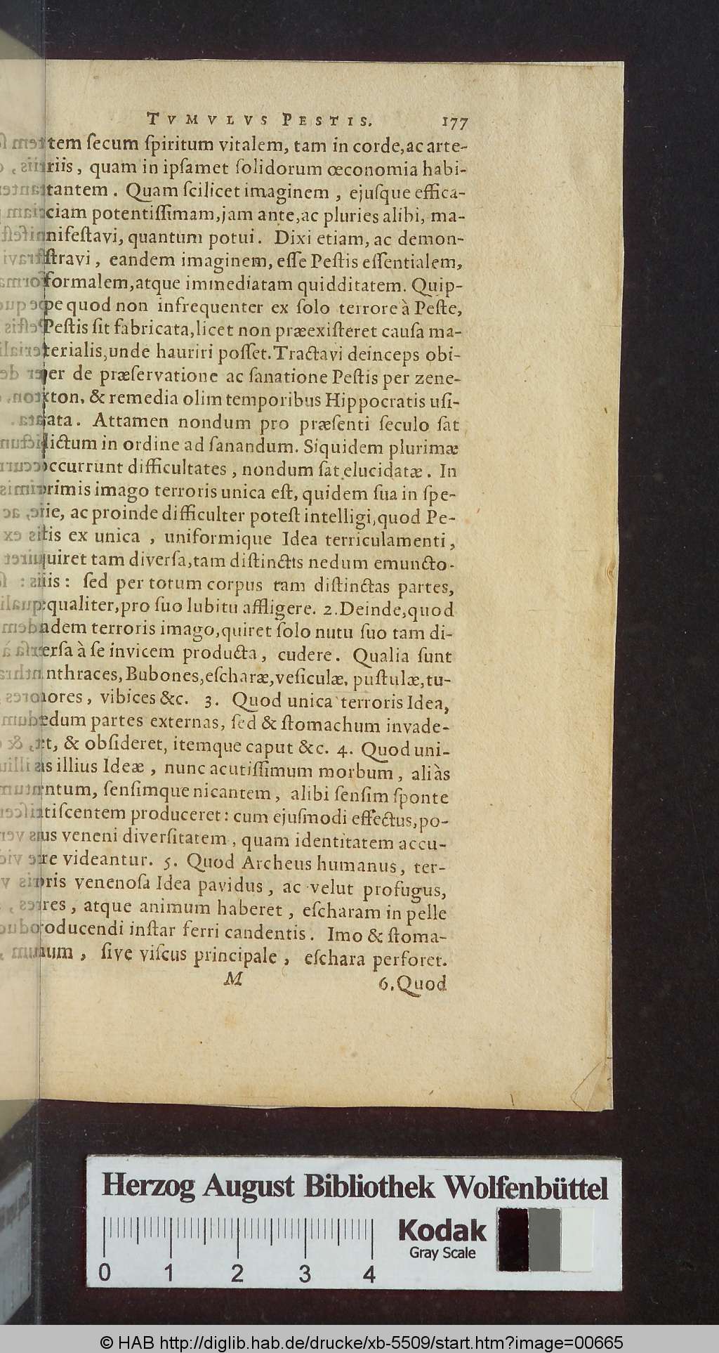 http://diglib.hab.de/drucke/xb-5509/00665.jpg