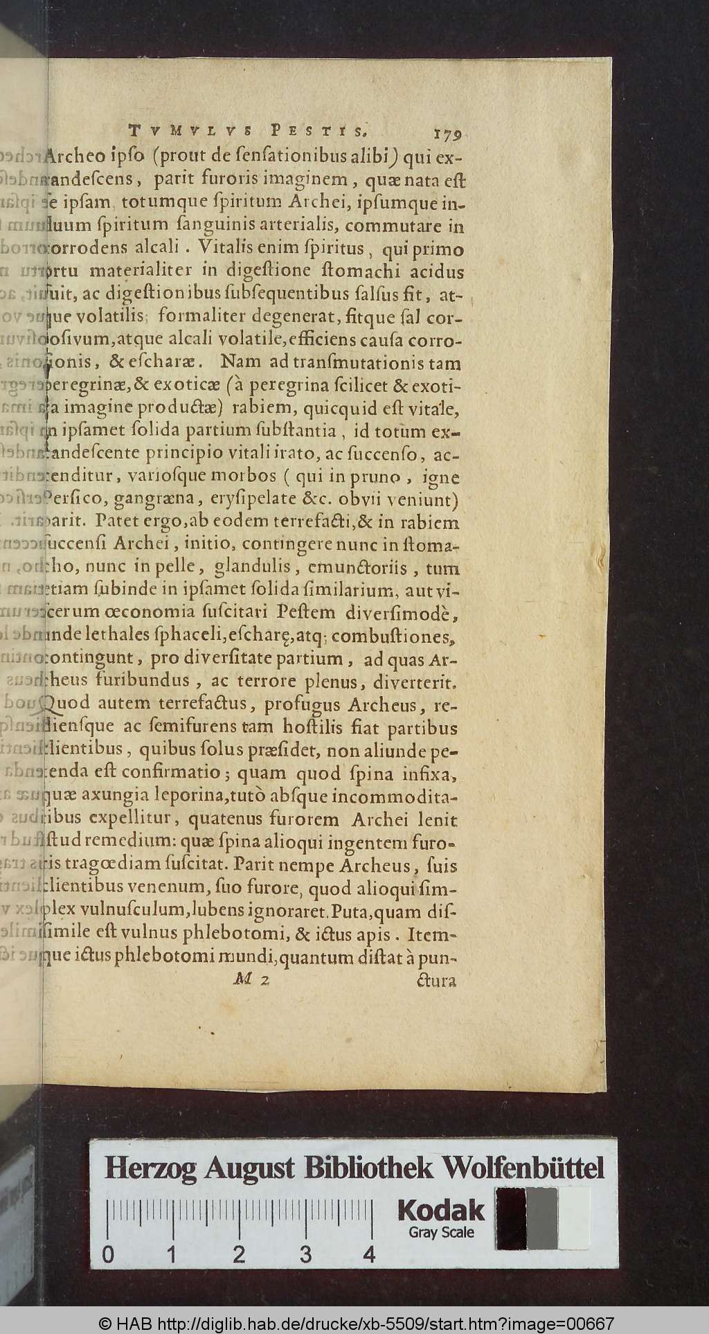 http://diglib.hab.de/drucke/xb-5509/00667.jpg