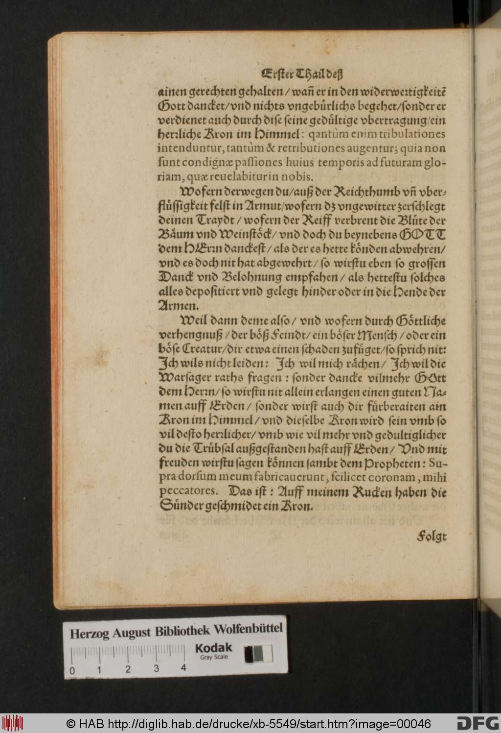 http://diglib.hab.de/drucke/xb-5549/00046.jpg