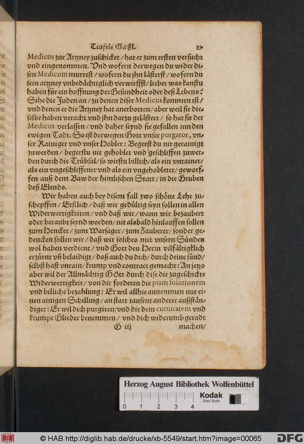 http://diglib.hab.de/drucke/xb-5549/00065.jpg