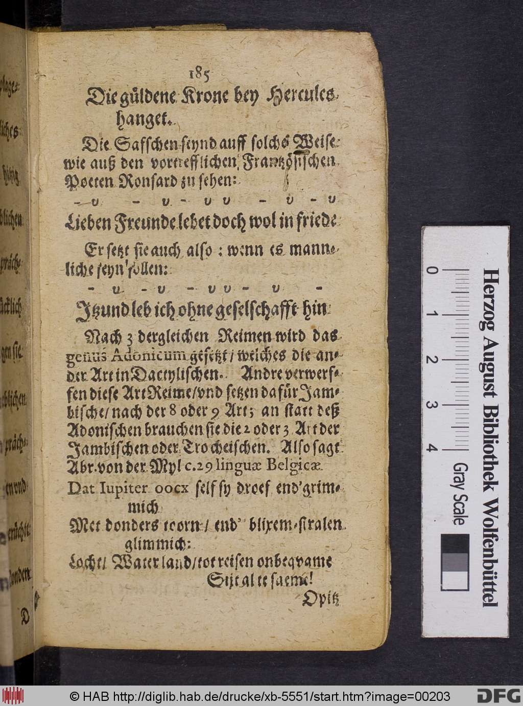 http://diglib.hab.de/drucke/xb-5551/00203.jpg
