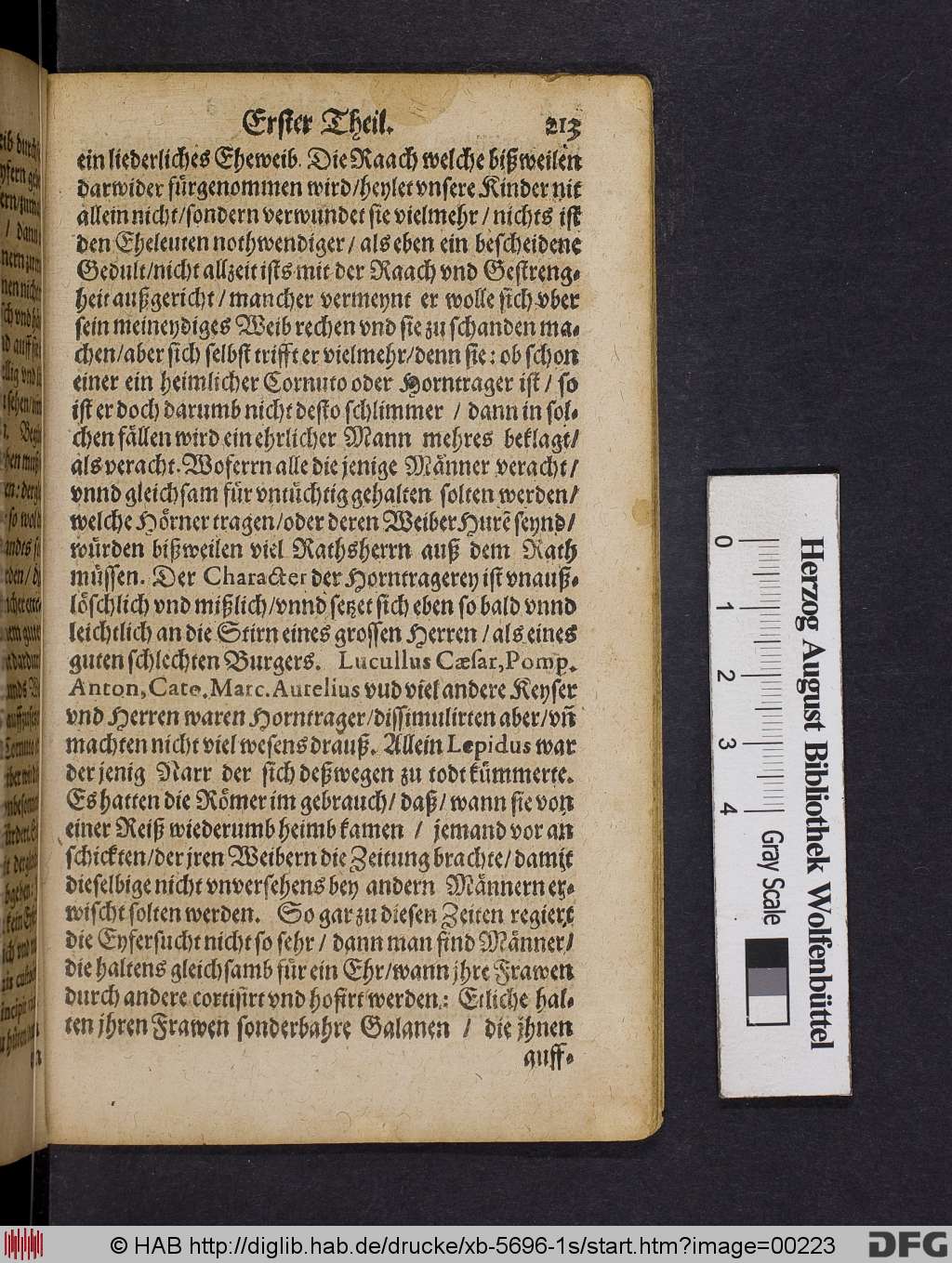 http://diglib.hab.de/drucke/xb-5696-1s/00223.jpg