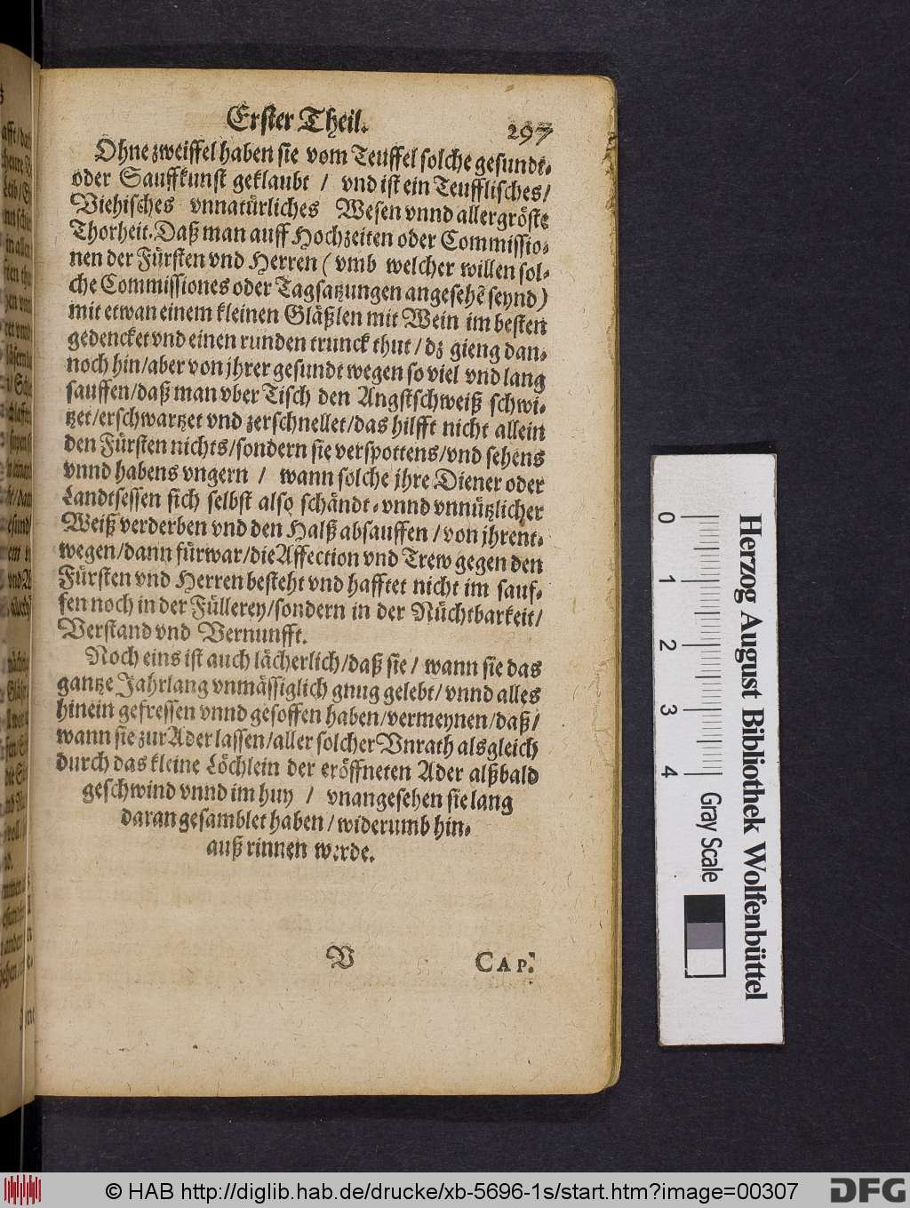http://diglib.hab.de/drucke/xb-5696-1s/00307.jpg