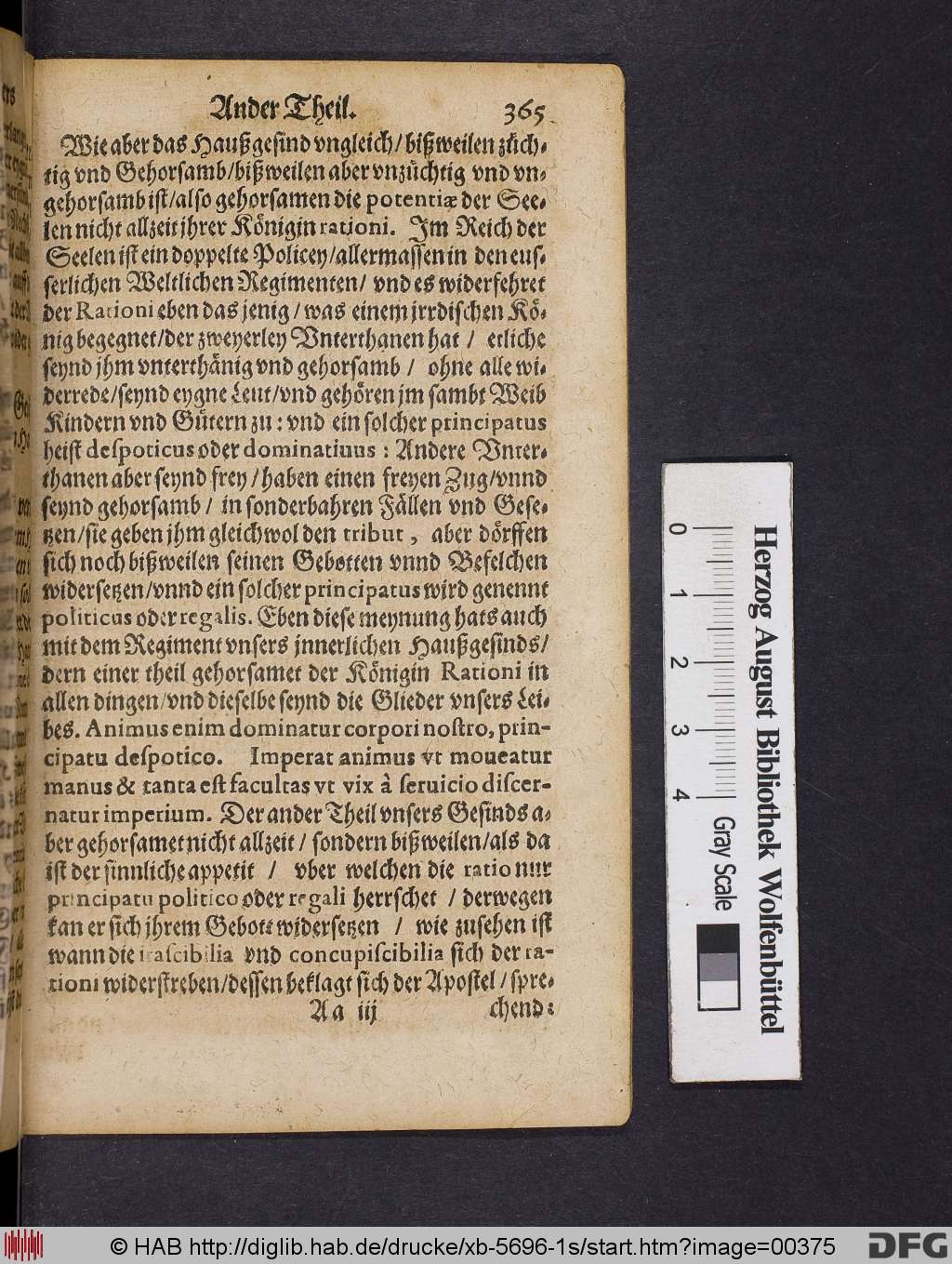 http://diglib.hab.de/drucke/xb-5696-1s/00375.jpg