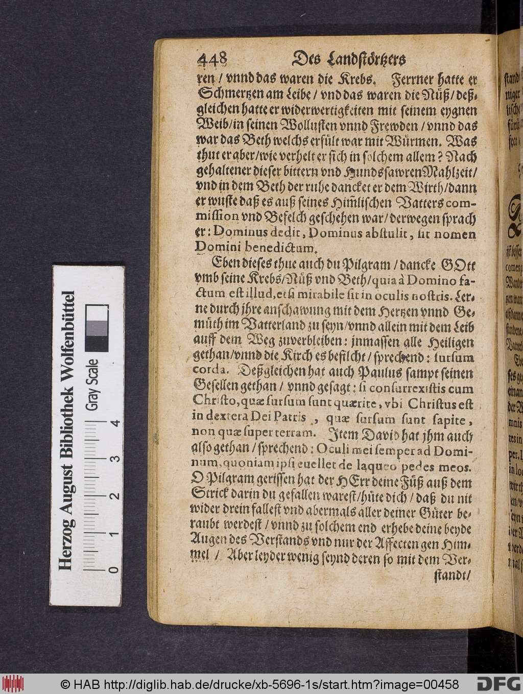 http://diglib.hab.de/drucke/xb-5696-1s/00458.jpg