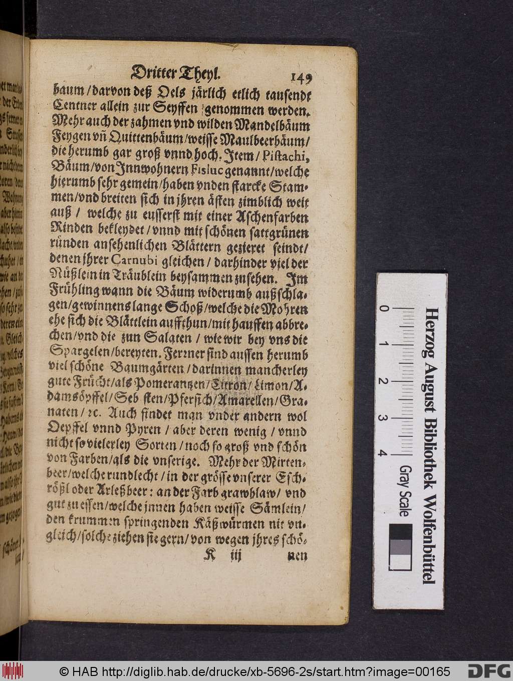 http://diglib.hab.de/drucke/xb-5696-2s/00165.jpg