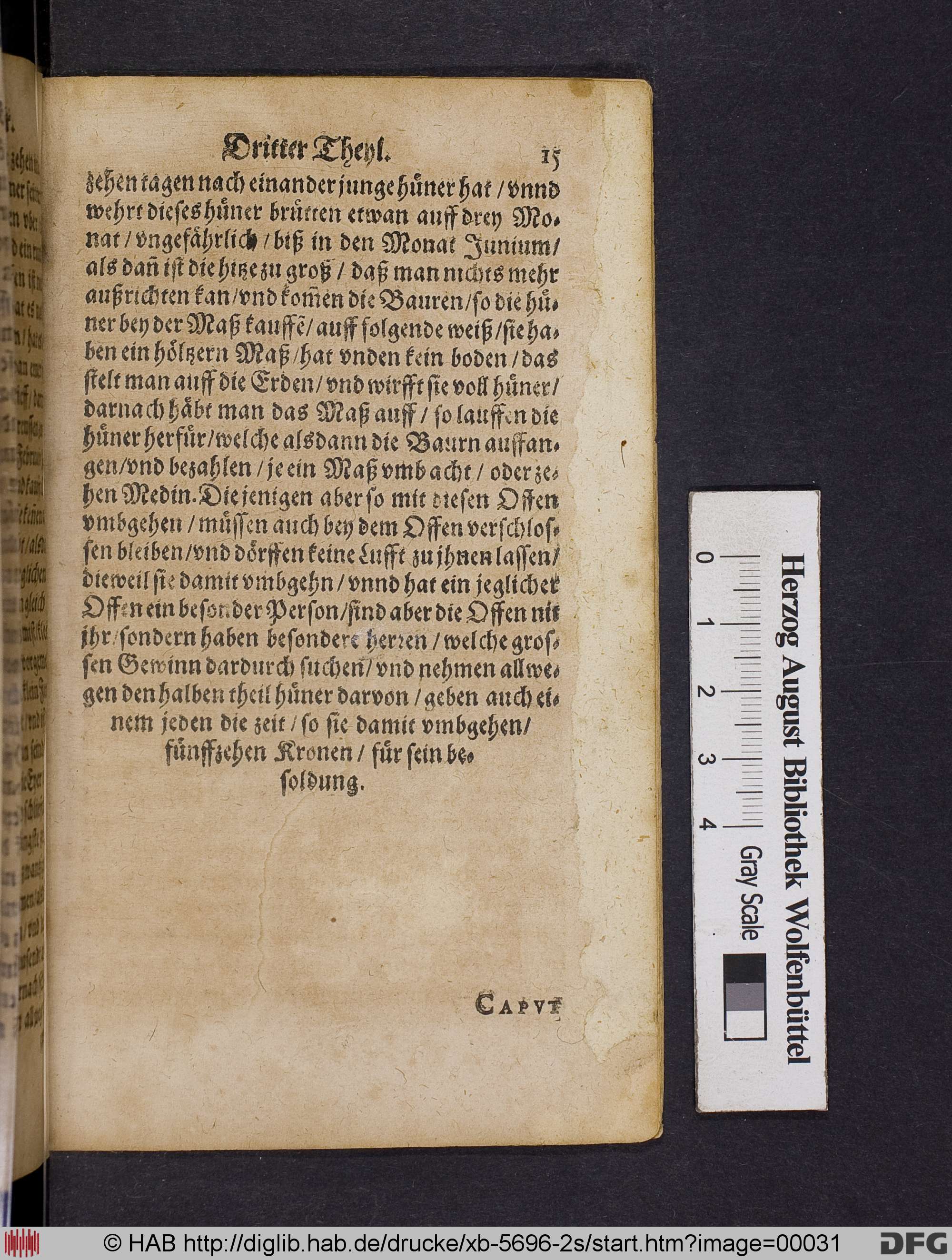 http://diglib.hab.de/drucke/xb-5696-2s/max/00031.jpg