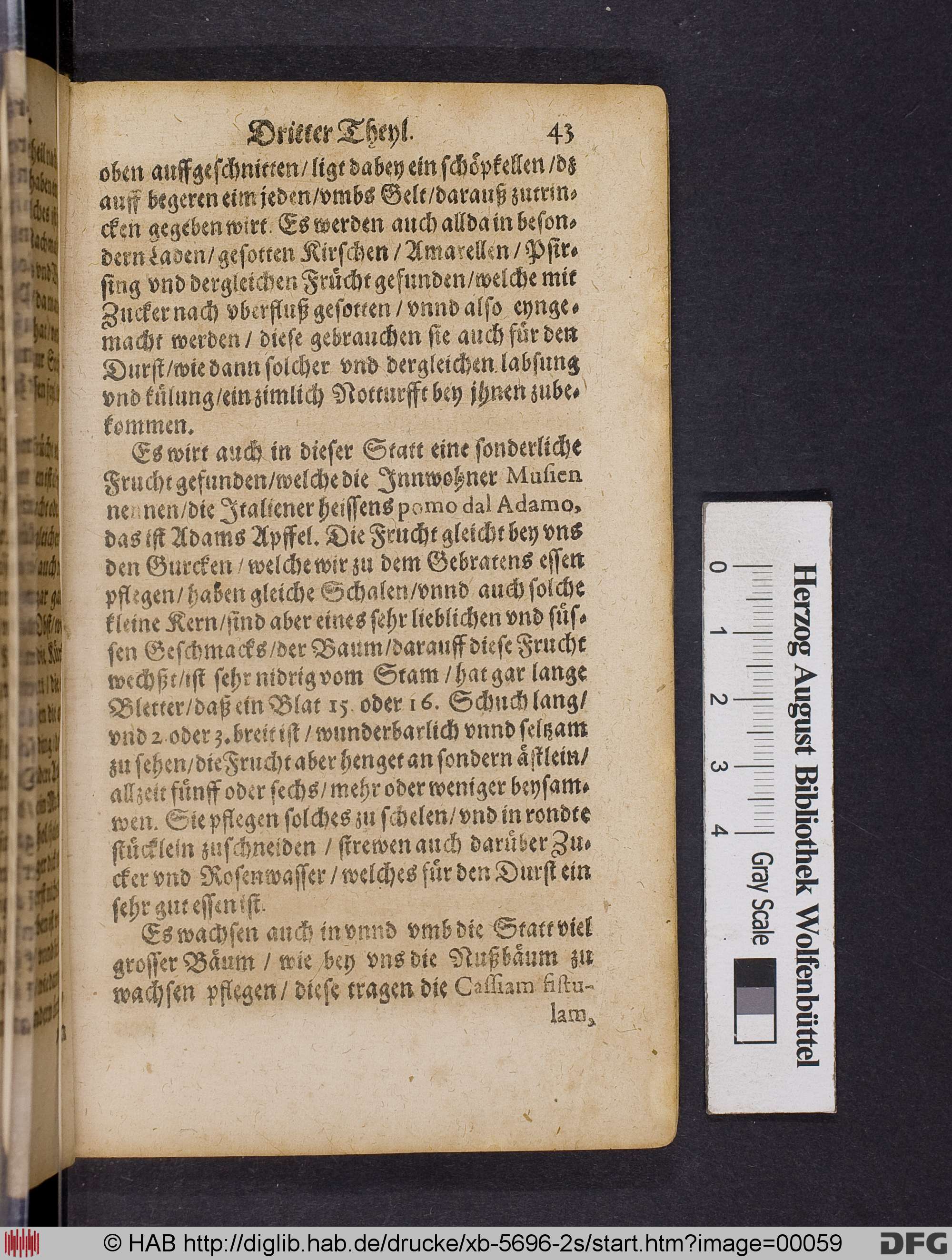 http://diglib.hab.de/drucke/xb-5696-2s/max/00059.jpg