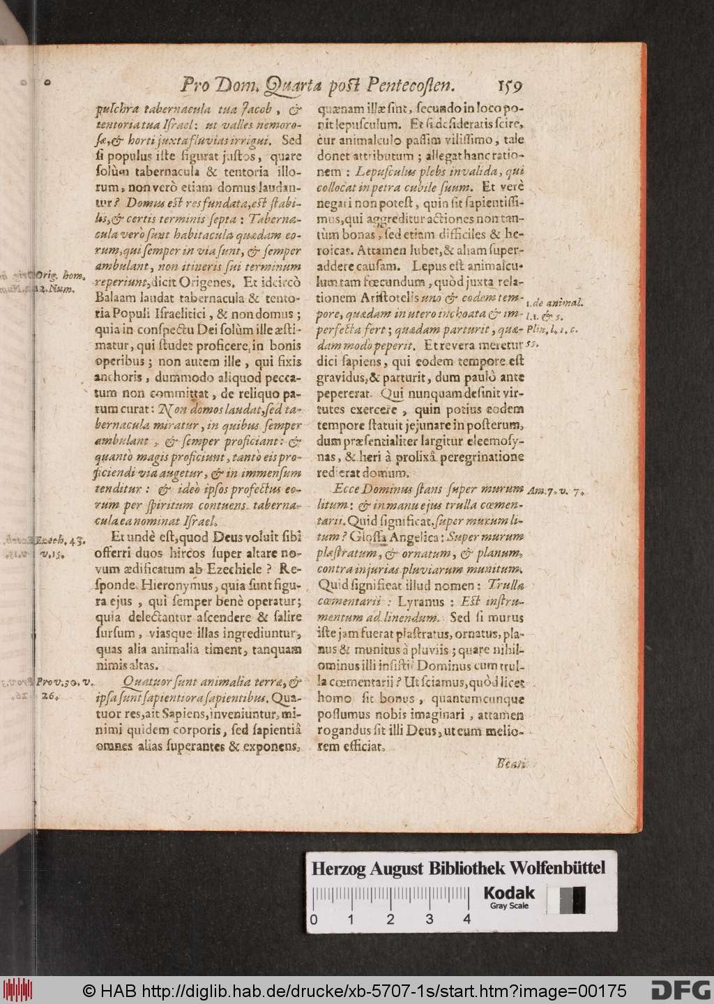 http://diglib.hab.de/drucke/xb-5707-1s/00175.jpg
