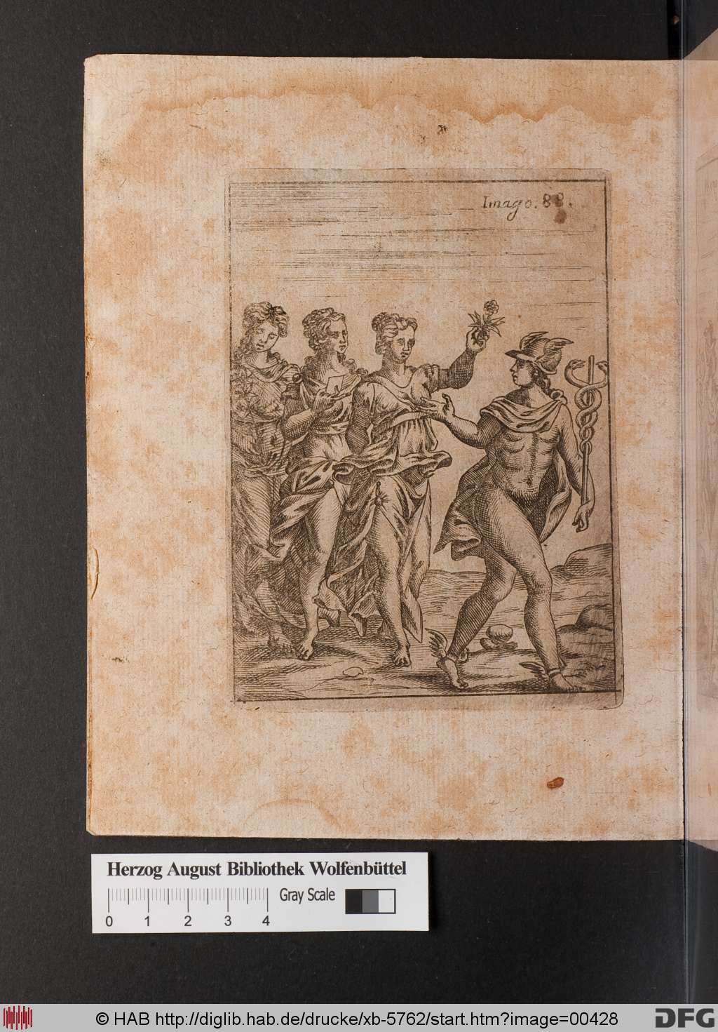 http://diglib.hab.de/drucke/xb-5762/00428.jpg