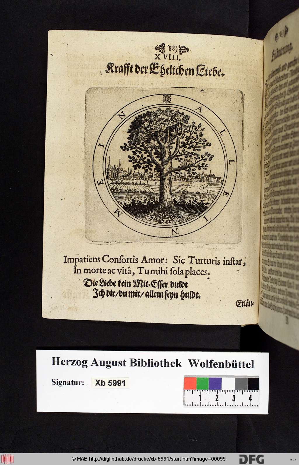 http://diglib.hab.de/drucke/xb-5991/00099.jpg