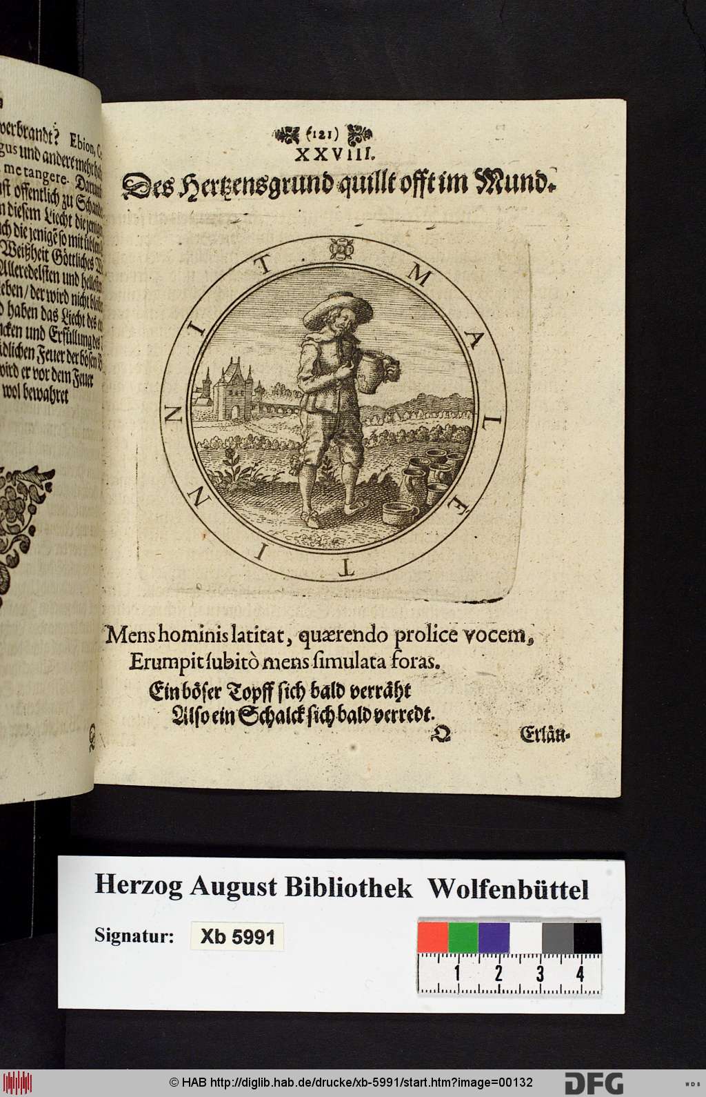 http://diglib.hab.de/drucke/xb-5991/00132.jpg