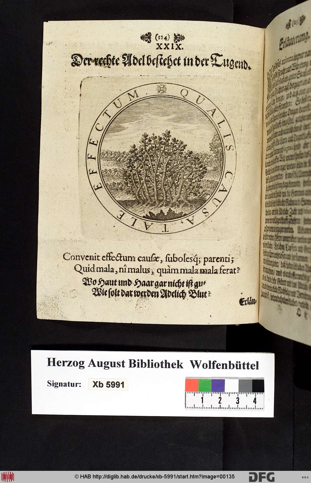 http://diglib.hab.de/drucke/xb-5991/00135.jpg