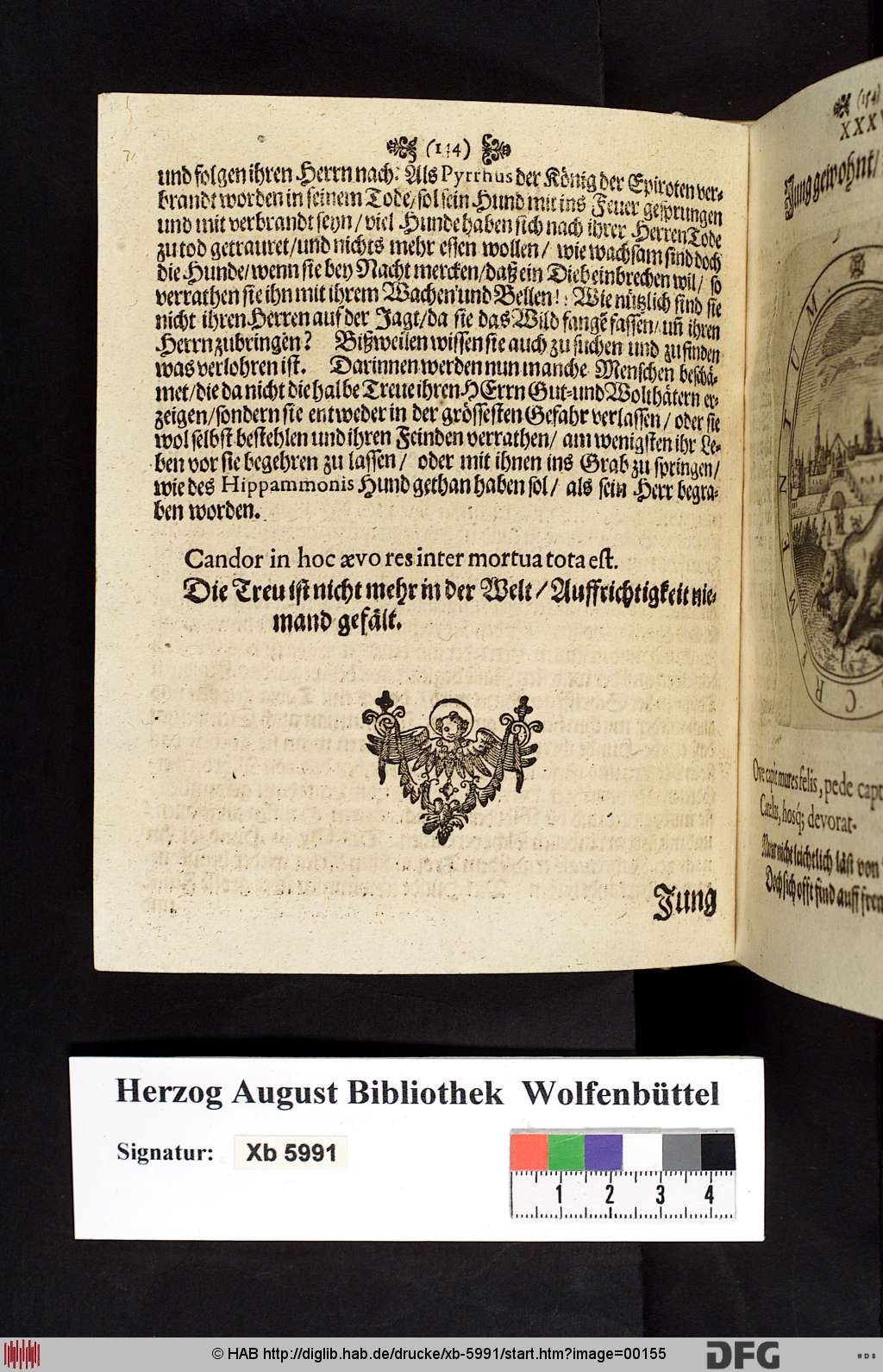 http://diglib.hab.de/drucke/xb-5991/00155.jpg