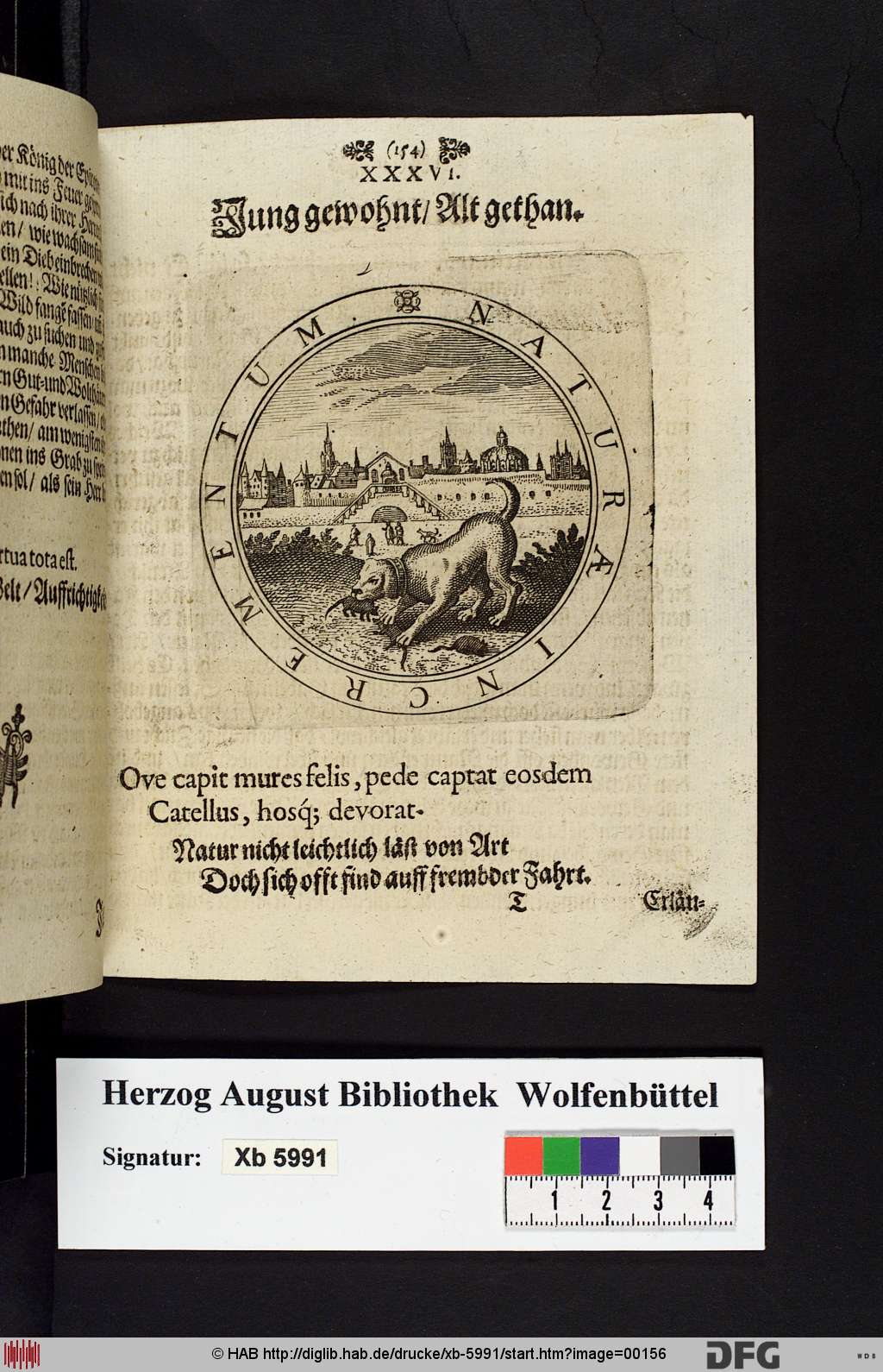 http://diglib.hab.de/drucke/xb-5991/00156.jpg