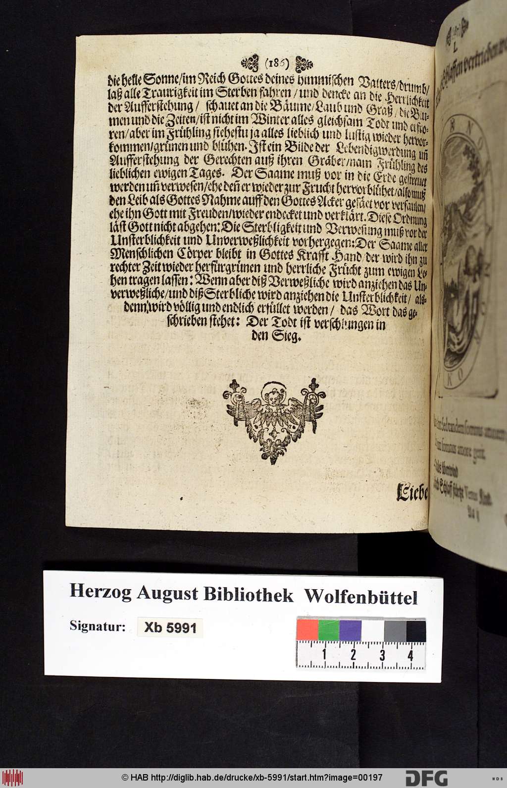http://diglib.hab.de/drucke/xb-5991/00197.jpg