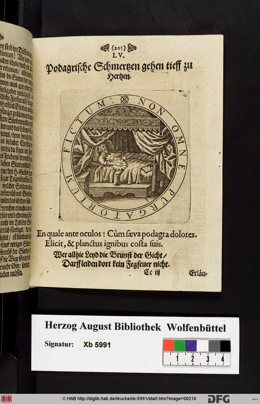 http://diglib.hab.de/drucke/xb-5991/00216.jpg