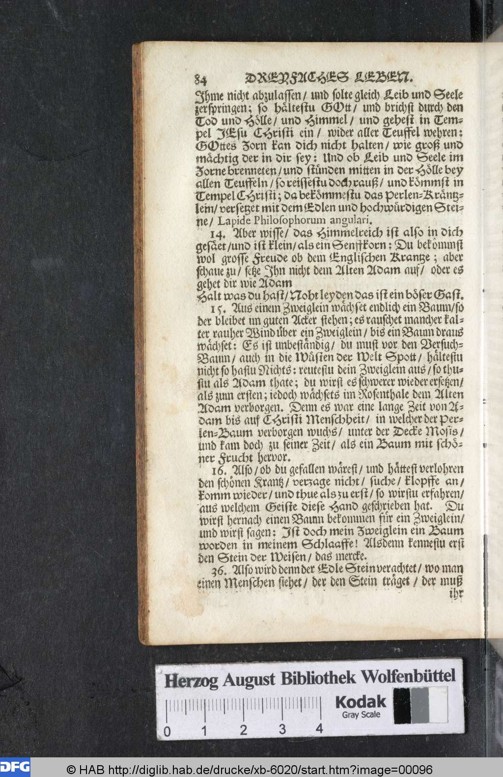 http://diglib.hab.de/drucke/xb-6020/00096.jpg