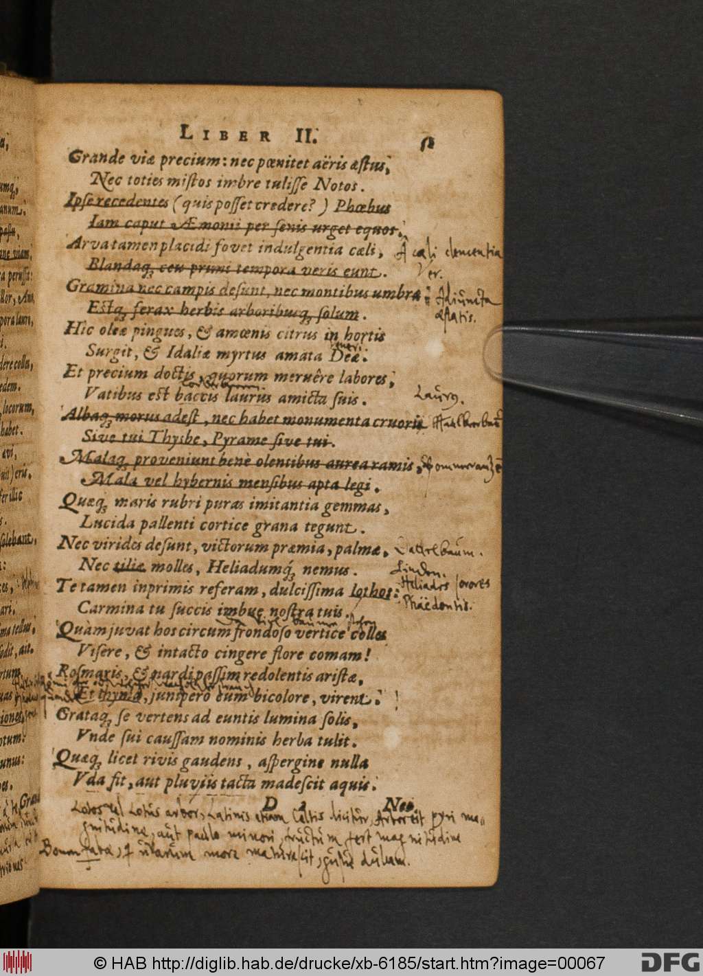 http://diglib.hab.de/drucke/xb-6185/00067.jpg