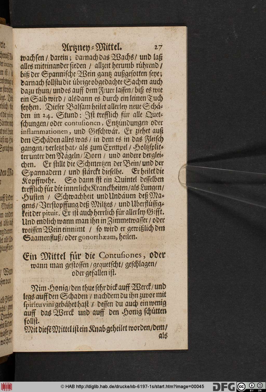 http://diglib.hab.de/drucke/xb-6197-1s/00045.jpg