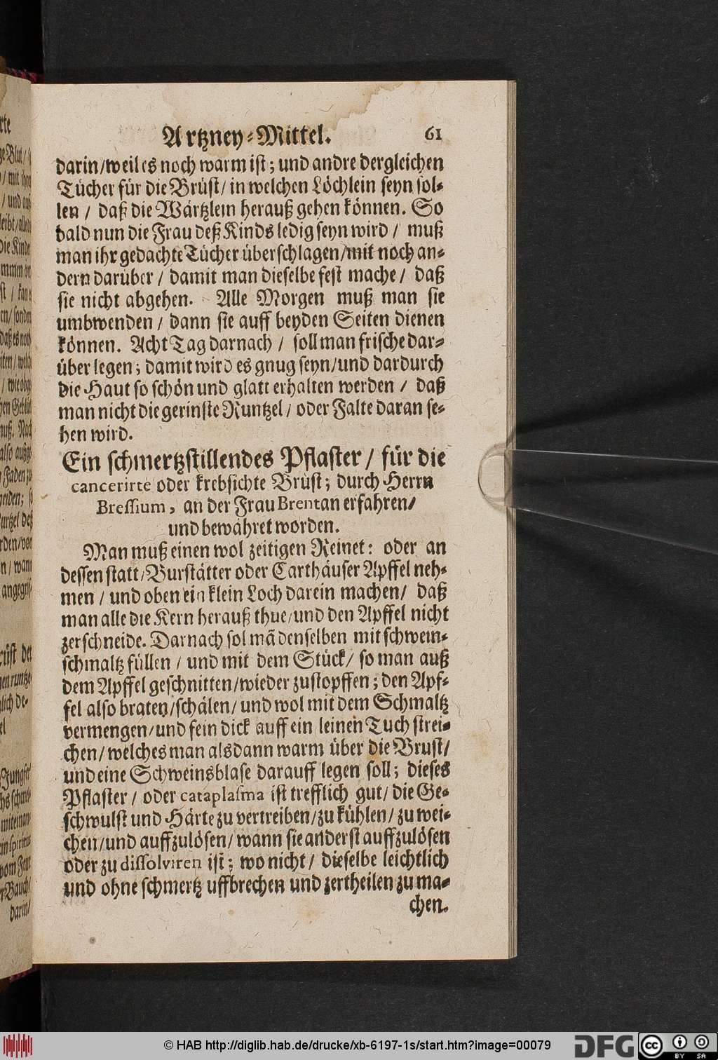 http://diglib.hab.de/drucke/xb-6197-1s/00079.jpg