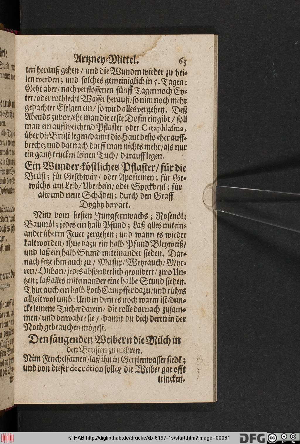 http://diglib.hab.de/drucke/xb-6197-1s/00081.jpg