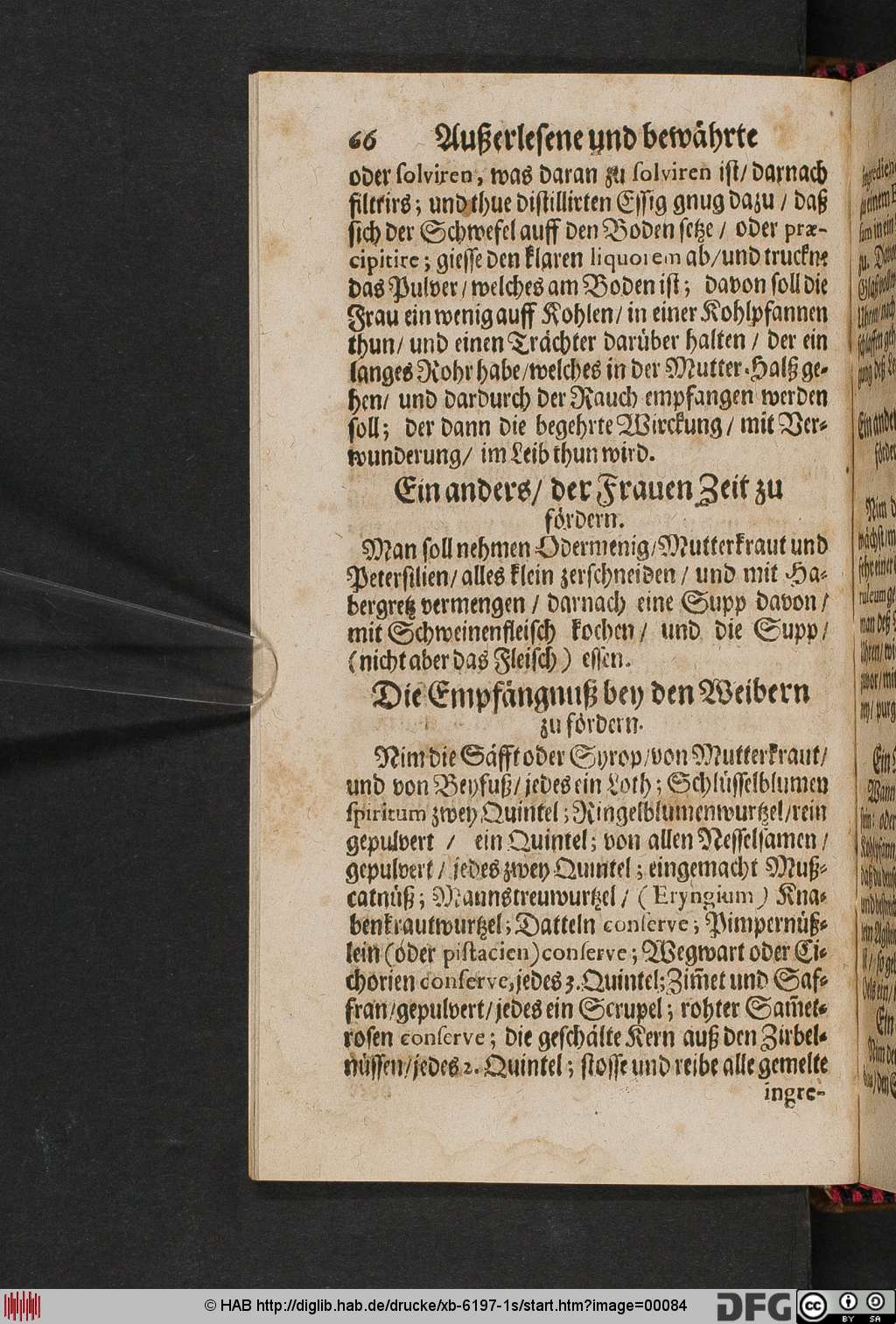 http://diglib.hab.de/drucke/xb-6197-1s/00084.jpg