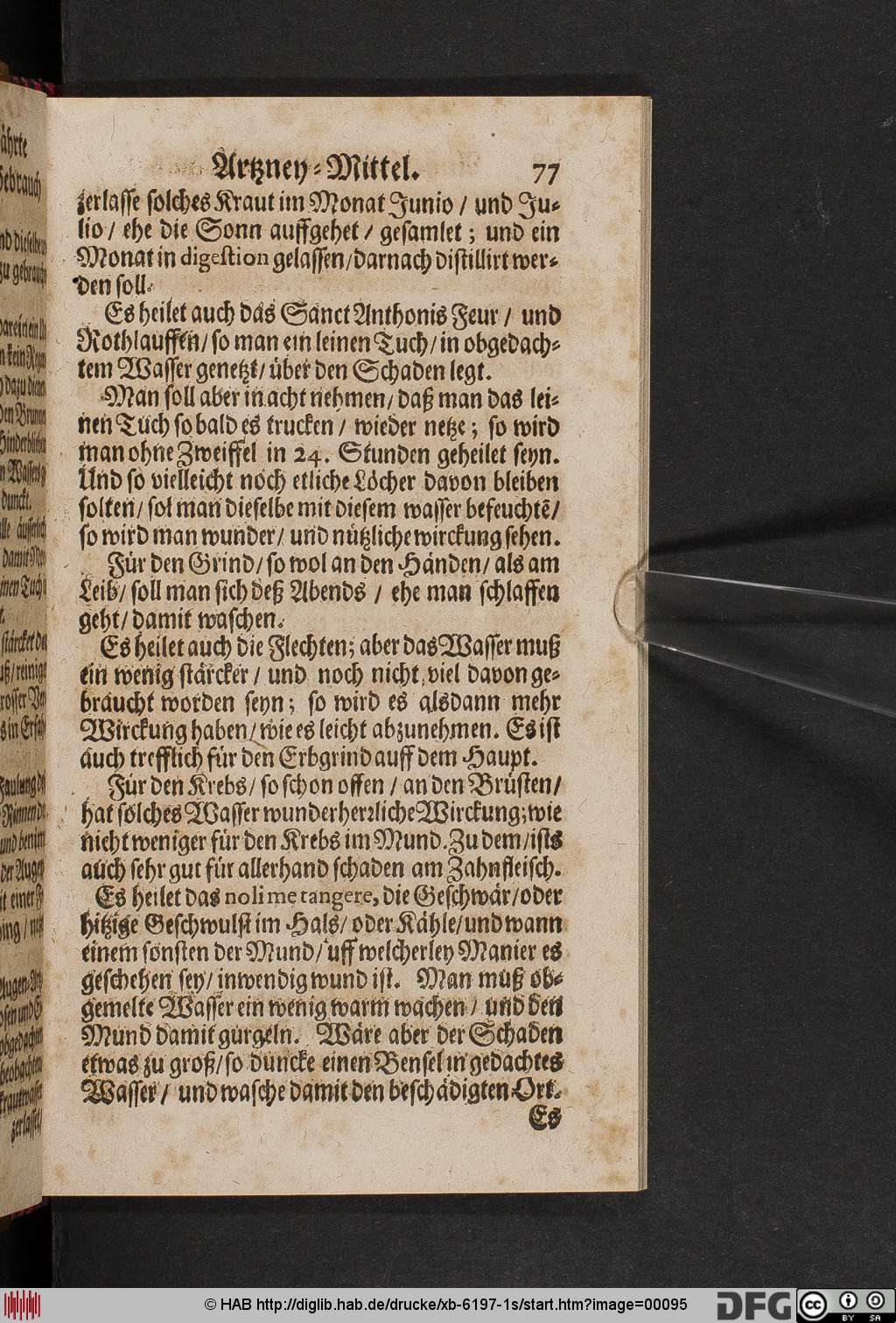http://diglib.hab.de/drucke/xb-6197-1s/00095.jpg