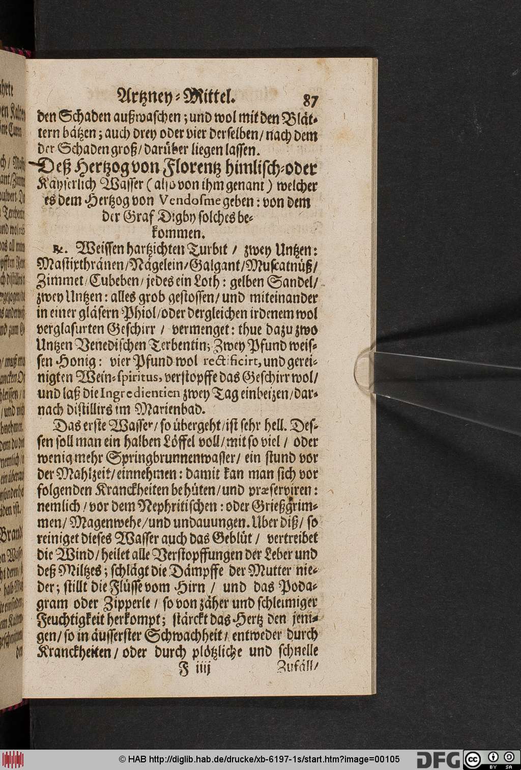 http://diglib.hab.de/drucke/xb-6197-1s/00105.jpg