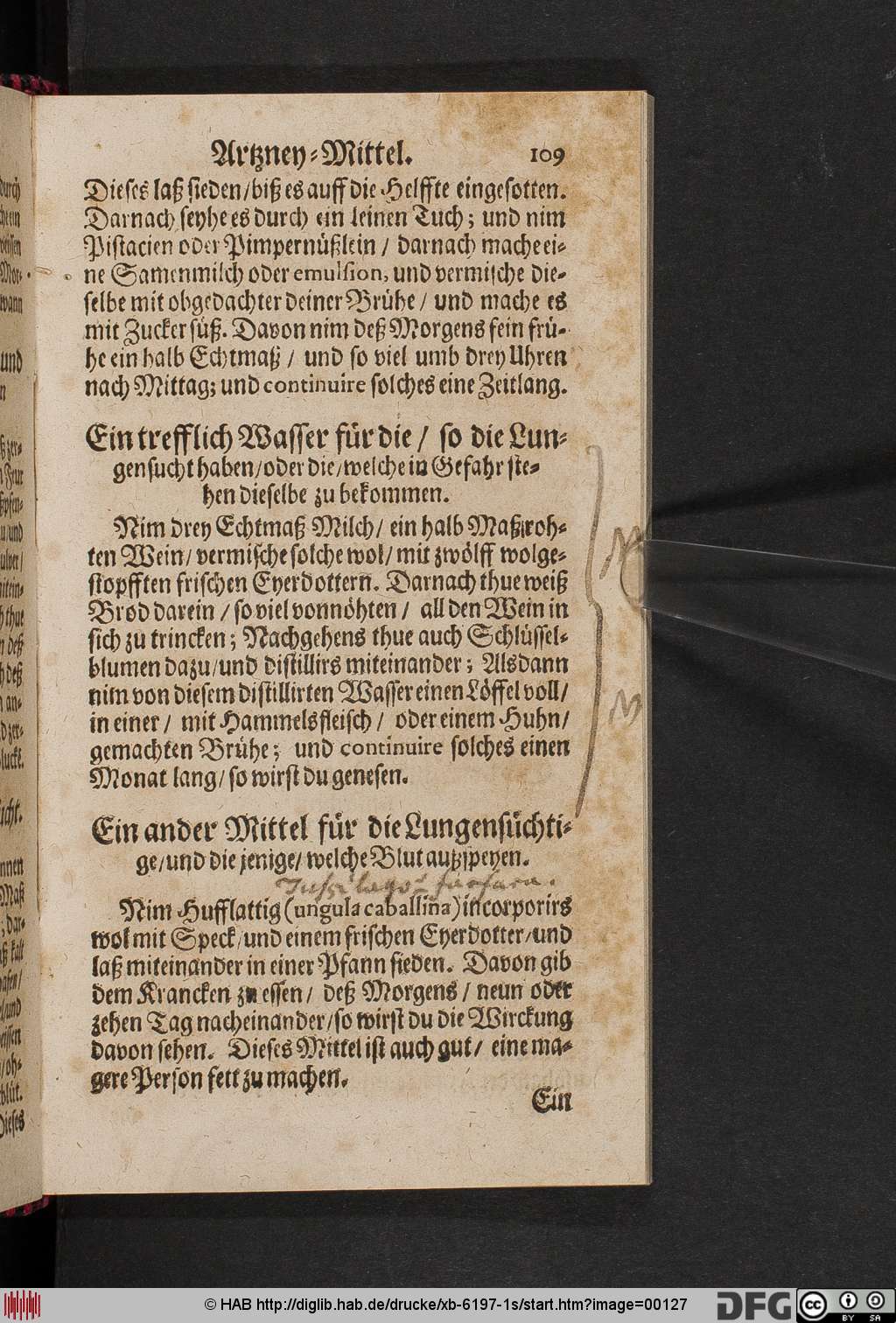 http://diglib.hab.de/drucke/xb-6197-1s/00127.jpg